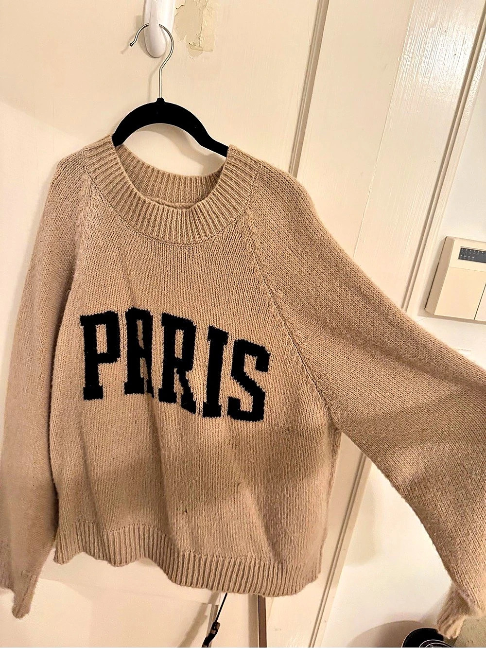 Anine Bing Paris Graphic Crewneck Sweater in Brown
